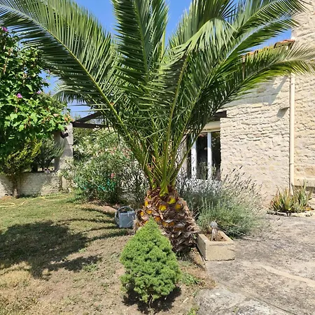 Maison De En Pierre Avec Piscine *