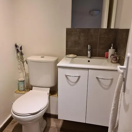 Maison De En Pierre Avec Piscine בית נופש Saint-Mard (Charente-Maritime)