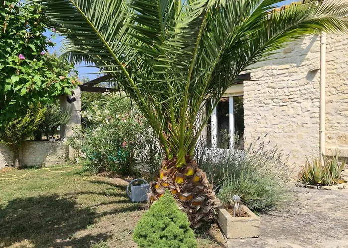 Maison De En Pierre Avec Piscine *