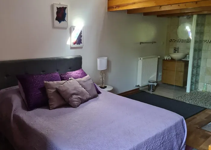 Maison De En Pierre Avec Piscine Saint-Mard